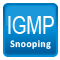 IGMP